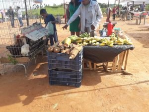 Agricultores de Parauapebas recebem apoio para melhorar produção de alimentos