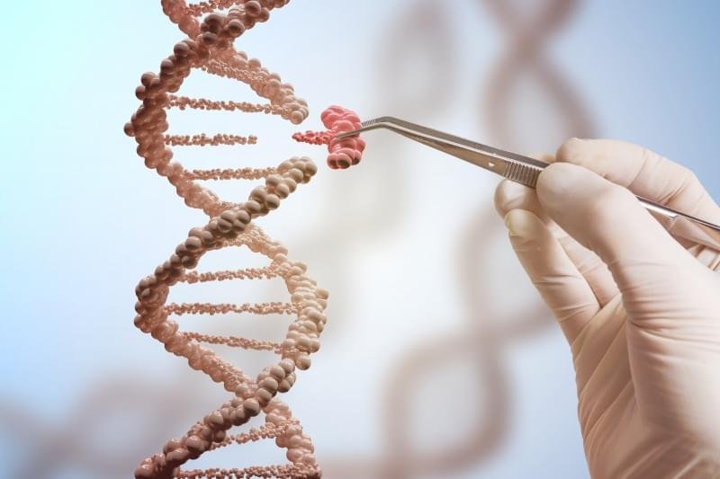 Nova técnica de edição de DNA poderá corrigir 89% de doenças ligadas à genética