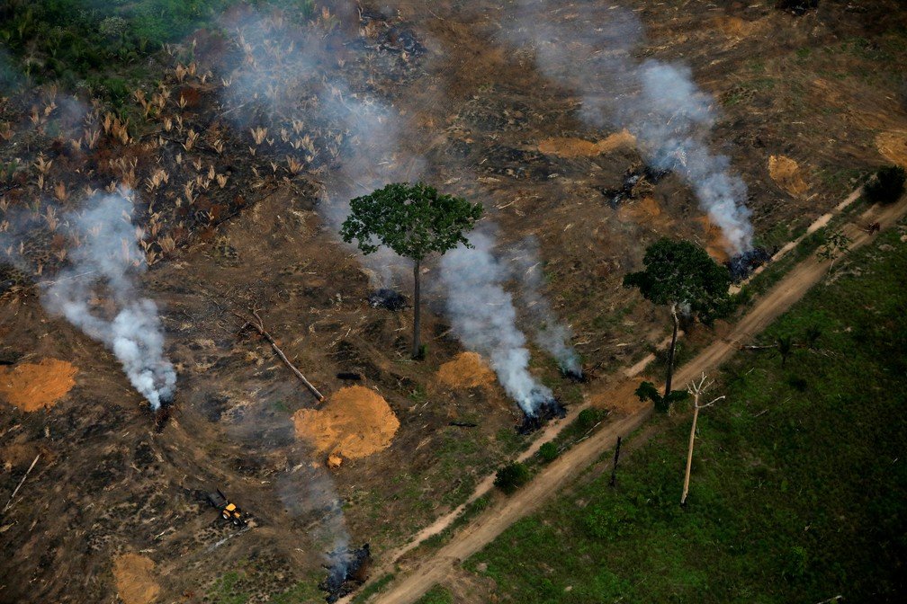 MPF já moveu mais de 1000 ações civis públicas contra desmatamento da Amazônia somente em maio