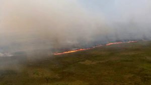 Número de focos de incêndio no Mato Grosso do Sul já é superior ao ano todo de 2019