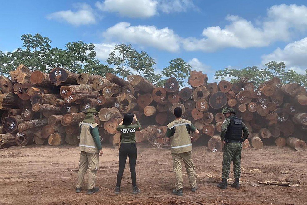 Operação da Semas combate pontos de desmatamento no arquipélago do Marajó