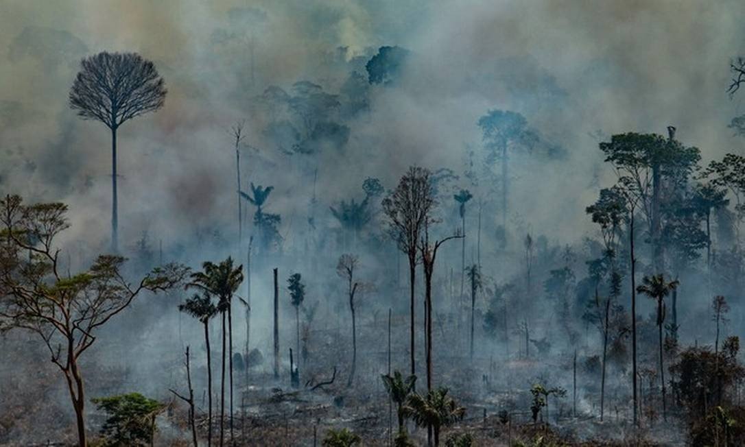 Justiça poderá cobrar R$ 893 milhões de desmatadores para reparar danos à Amazônia Legal