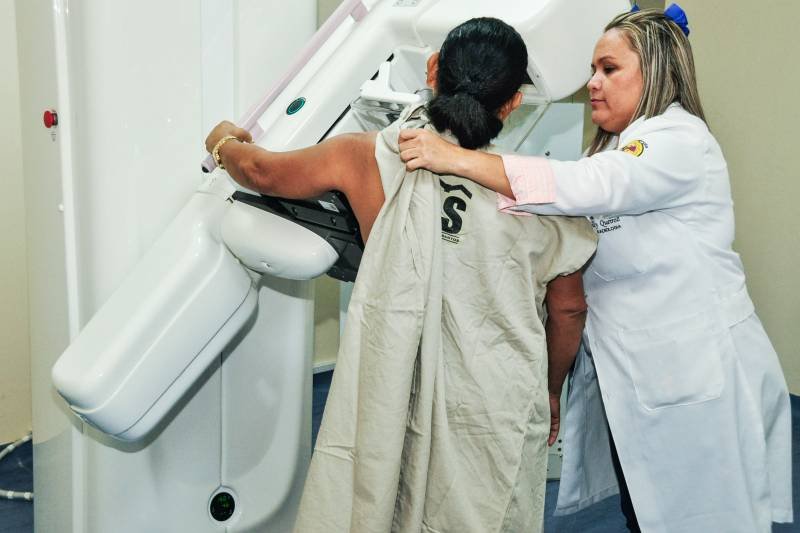Campanha Outubro Rosa irá disponibilizar solicitação de exames de mamografias através do WhatsApp