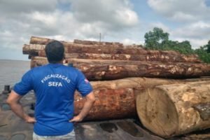 Sefa apreende R$ 135 mil em madeira ilegal no Marajó