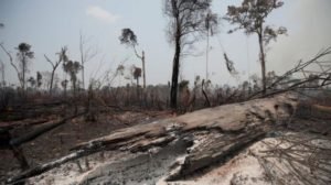 Alerta do Inpe aponta 2º pior índice de desmatamento da Amazônia Legal no ano de 2020