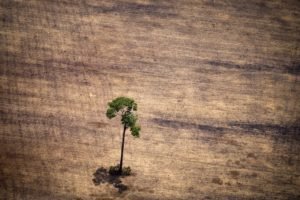 Mourão apresenta 1º plano de combate ao desmatamento da Amazônia