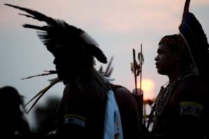 MPF solicita que Justiça obrigue a demarcação da Terra Indígena Tuwa Apekuokawera, no sudoeste do Pará