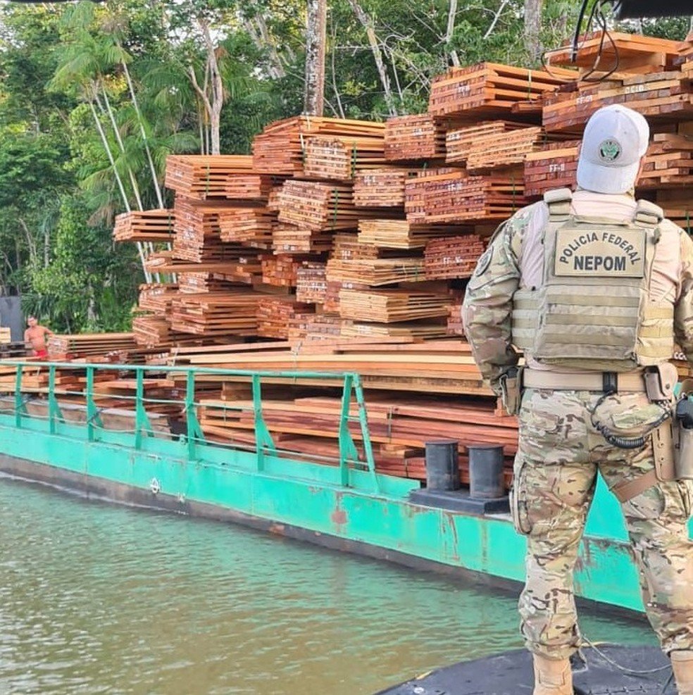Operação da PF é concluída com apreensão de 281,15 metros³ de madeira ilegal