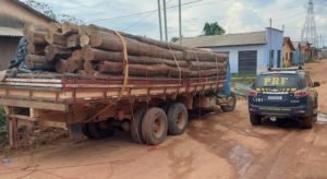 PRF apreende quase 80 m³ de madeira ilegal somente nesta semana