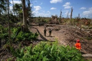 Operação ‘Amazônia Viva’ embarga no Pará mais de 270 mil hectares onde desmatamento ilegal era praticado