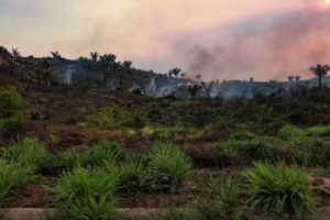Registro de queimadas no Pará reduz em 83% no mês de dezembro, aponta pesquisa