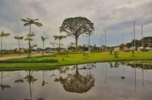 Belém irá sediar pela 1ª vez Congresso Brasileiro de Biodiversidade e Biotecnologia da Amazônia