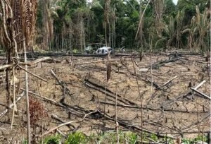 Operação da PF combate garimpo ilegal e desmatamento na Terra Indígena Ituna Itatá, no Pará