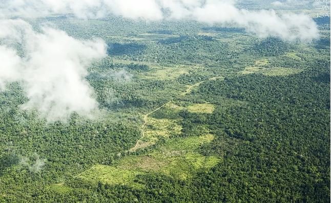 MPF denuncia Equatorial Energia por crime ambiental e fraude no Pará, com multa que pode chegar a R$ 1,6 milhão