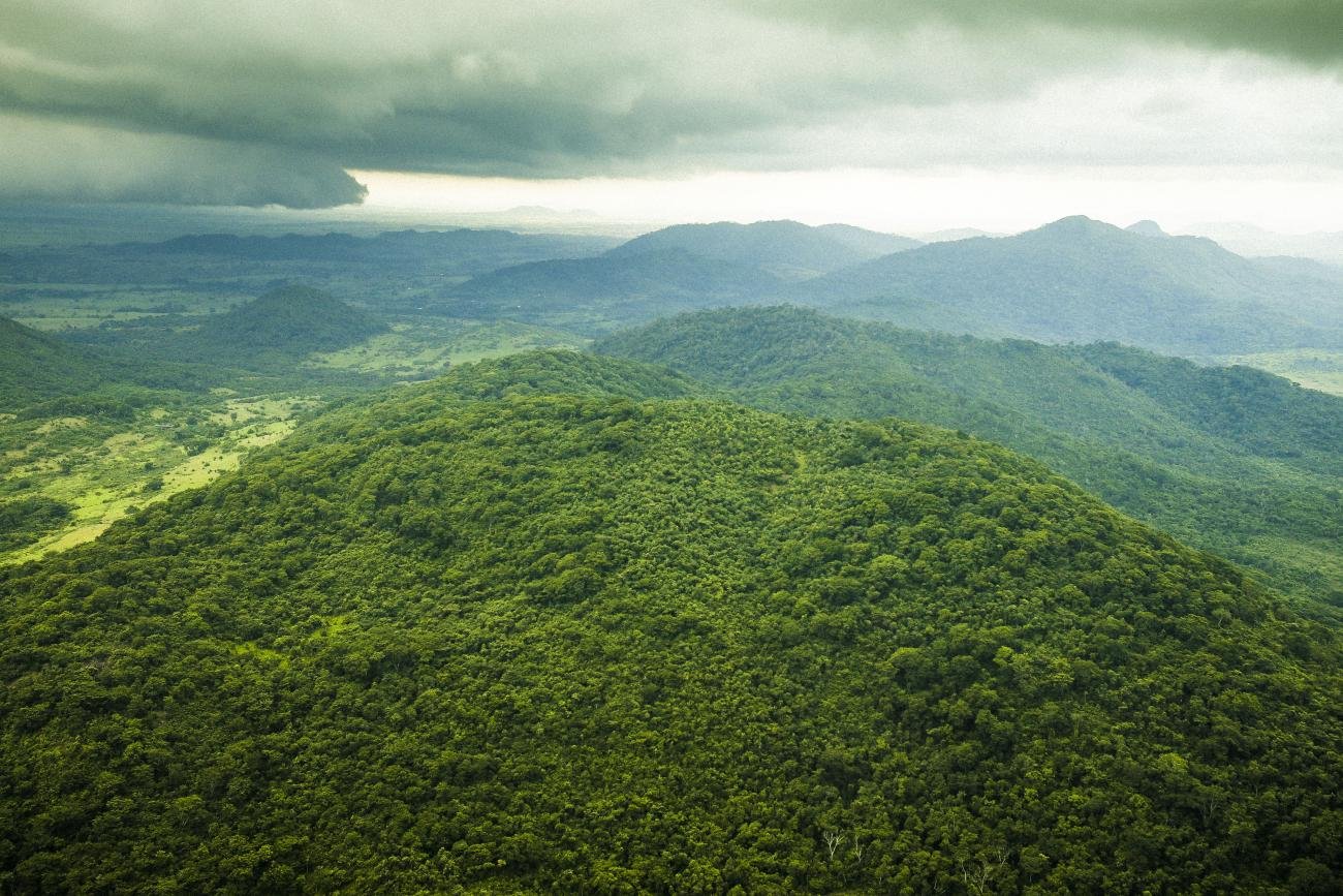No Dia da Natureza, Pará comemora redução de 56% em alertas de desmatamento